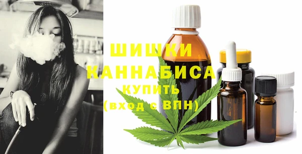 альфа пвп Новодвинск